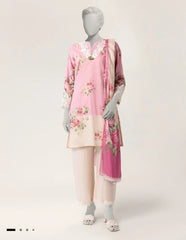 J. 3pc embroidered with shesha silk duppata